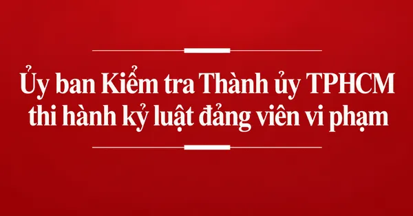 Ủy ban Kiểm tra Thành ủy TPHCM thi hành kỷ luật 4 đảng viên vi phạm