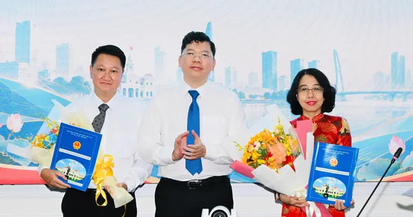 UBND TPHCM trao quyết định điều động, bổ nhiệm nhiều cán bộ