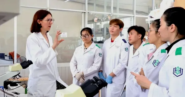 TPHCM phấn đấu thuộc nhóm 5 địa phương dẫn đầu về thu hút nhân tài
