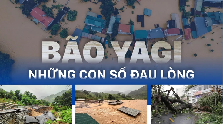 Bão Yagi - Những con số đau lòng