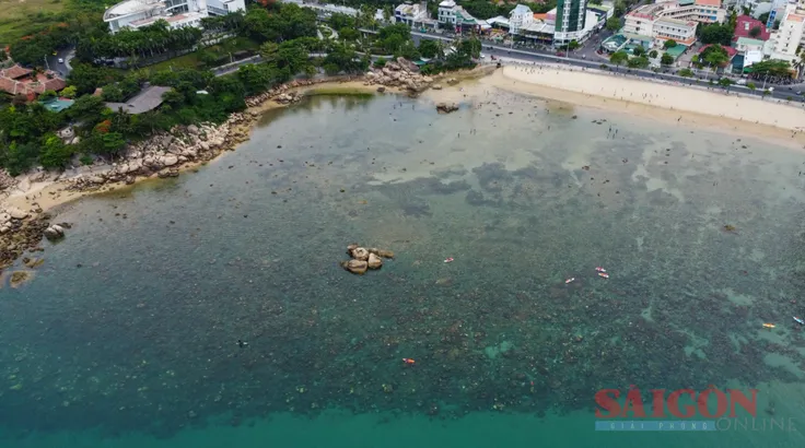 Tình trạng giẫm đạp lên rạn san hô gần bờ vịnh Nha Trang
