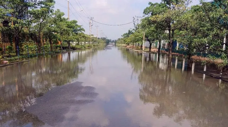 Khu công nghiệp Đức Hòa 1, xã Mỹ Hạnh, tỉnh Tây Ninh ngập úng, ảnh hưởng đến sản xuất, kinh doanh của doanh nghiệp