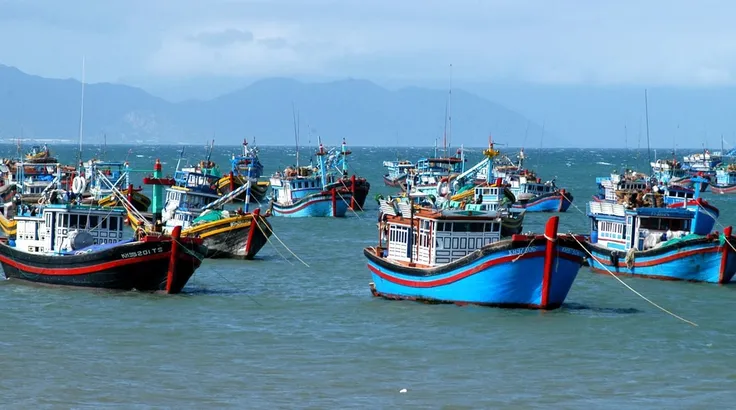 Đội tàu cá của ngư dân Bà Rịa- Vũng Tàu
