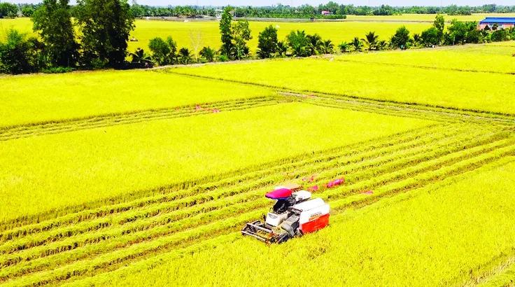 Nông sản Việt 'rộng cửa' vào thị trường tỷ dân