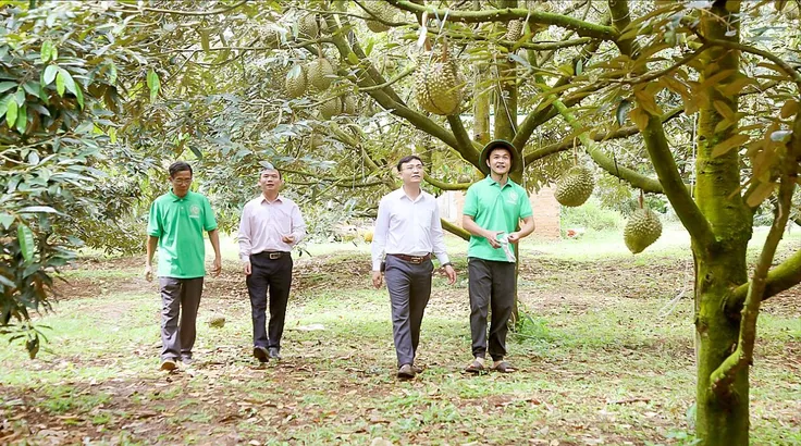 Từ thửa ruộng đến không gian số