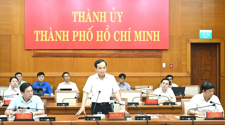 TPHCM thành lập Ban Nghiên cứu phát triển trước ngày 1-7