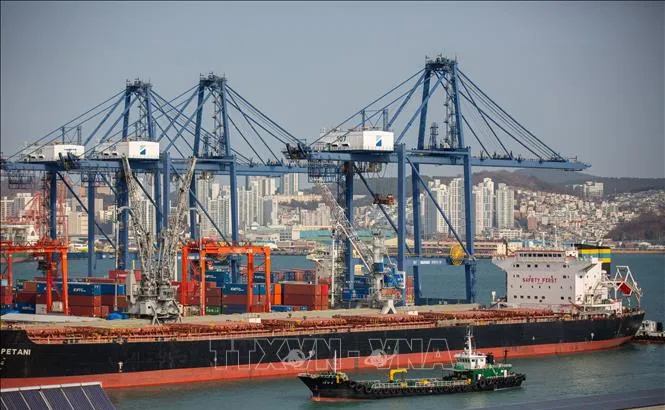 Cảng Busan, Hàn Quốc. Ảnh: THX/TTXVN