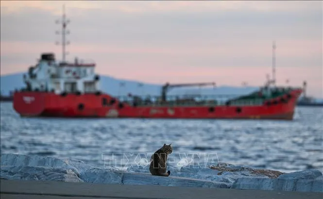 Tàu neo trên biển Marmara nối với Biển Đen, ngoài khơi thành phố Istanbul, Thổ Nhĩ Kỳ, ngày 25-11-2025. Ảnh: THX/TTXVN