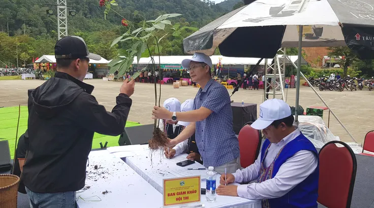 Người dân mang sâm tham gia Hội thi Sâm Ngọc Linh năm 2025