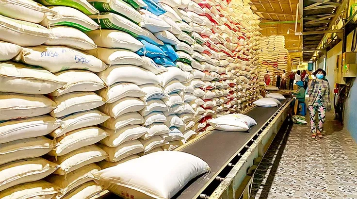 Tạo nền tảng dài hạn cho gạo xuất khẩu 