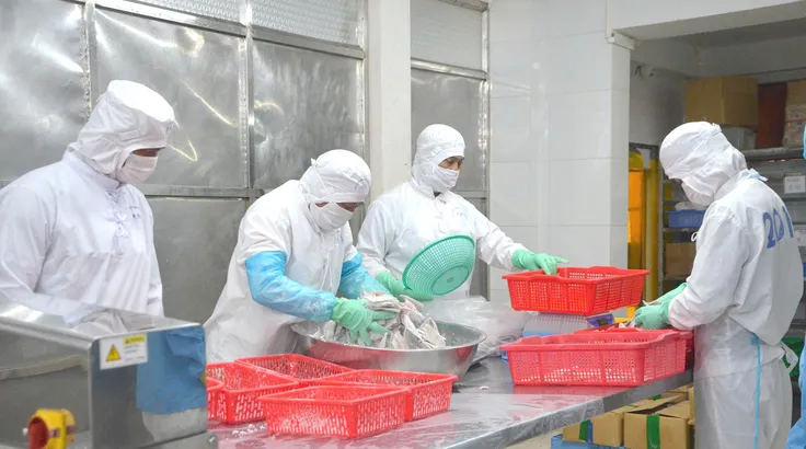 Biến động Trung Đông đẩy giá nguyên liệu và logistics tăng mạnh