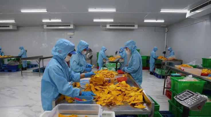 Nhiều công nhân đang làm việc tại các Khu chế xuất, khu công nghiệp, Khu công nghệ cao TPHCM có nhu cầu về chỗ ở. Ảnh HOÀNG HÙNG