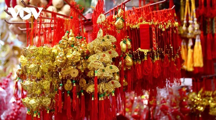 Đường Hải Thượng Lãn Ông rực rỡ sắc màu Tết