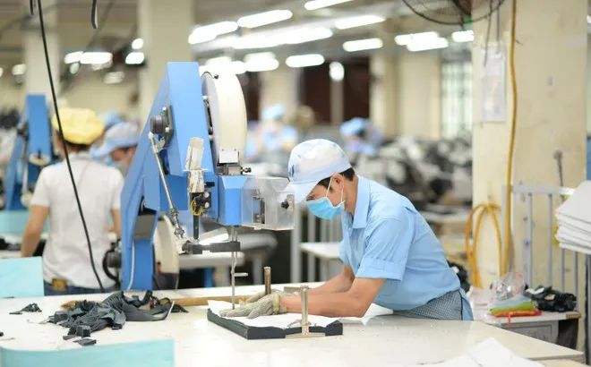 Các doanh nghiệp dệt may tối ưu hóa sản xuất và công tác quản trị để nâng sức cạnh tranh cho sản phẩm. (Ảnh: Đức Duy/Viethnam+) 