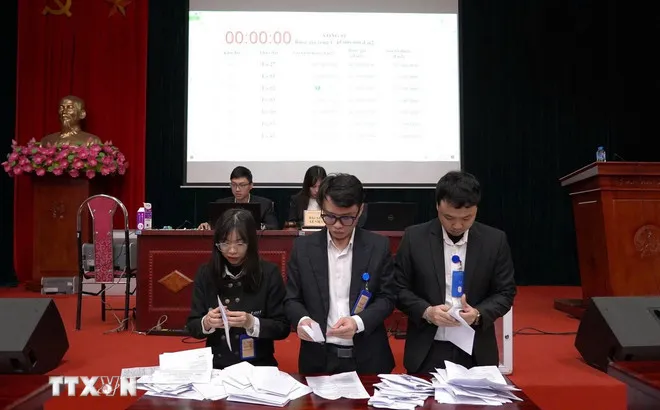 Công ty Đấu giá hợp danh số 5-Quốc gia kiểm tra kết quả. (Ảnh: Minh Nghĩa/TTXVN)