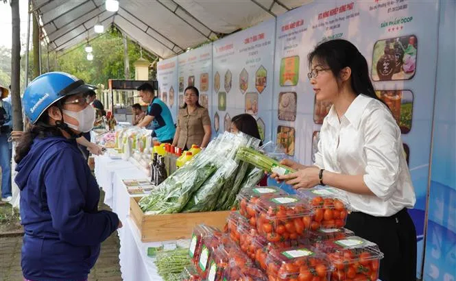 Hà Nội tổ chức 4 điểm bán sản phẩm OCOP phục vụ Tết Nguyên đán