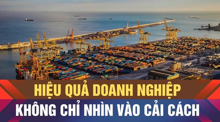 Địa phương có thứ hạng cao, chưa chắc tạo ra doanh nghiệp mạnh