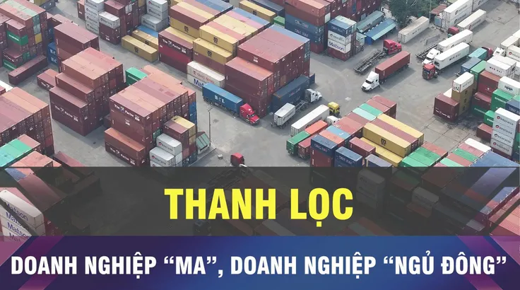 Chiến dịch làm sạch mã số thuế đã thanh lọc doanh nghiệp