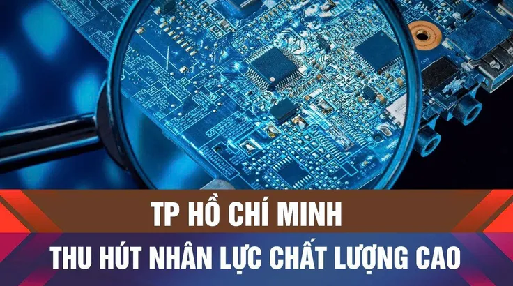 TPHCM tạo thêm động lực để thu hút nhân lực, giới trẻ