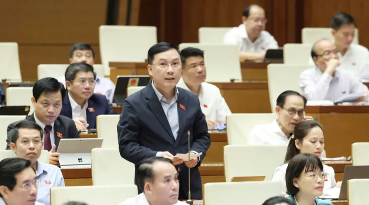 ĐB Lê Hoàng Anh (Gia Lai) phát biểu tại hội trường, sáng 21-4. Ảnh: QUANG PHÚC