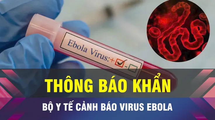 18 GIỜ NGÀY 18-5: Thông báo khẩn dịch sốt xuất huyết do virus Ebola