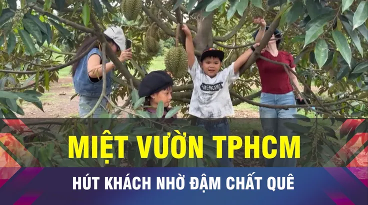 18 GIỜ NGÀY 27-6: Du lịch nhà vườn tại TPHCM bất ngờ hút khách