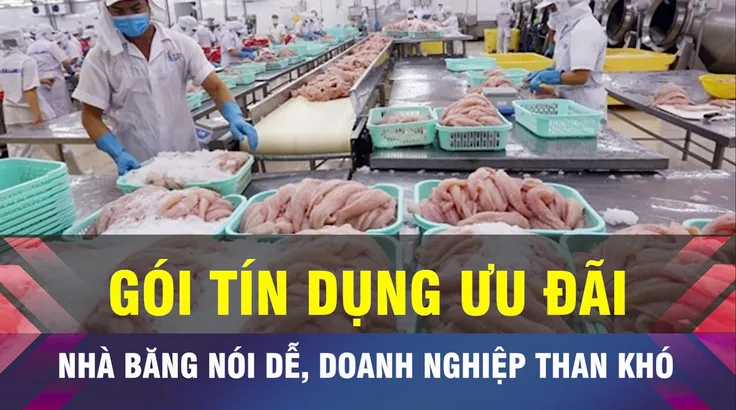 18 GIỜ NGÀY 11-7: Vì sao doanh nghiệp khó tiếp cận gói tín dụng ưu đãi?
