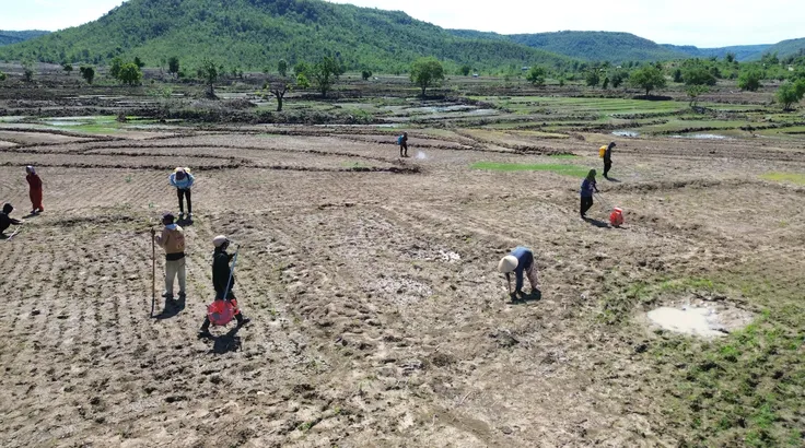 Mùa lên rẫy trỉa lúa ở vùng cao Gia Lai