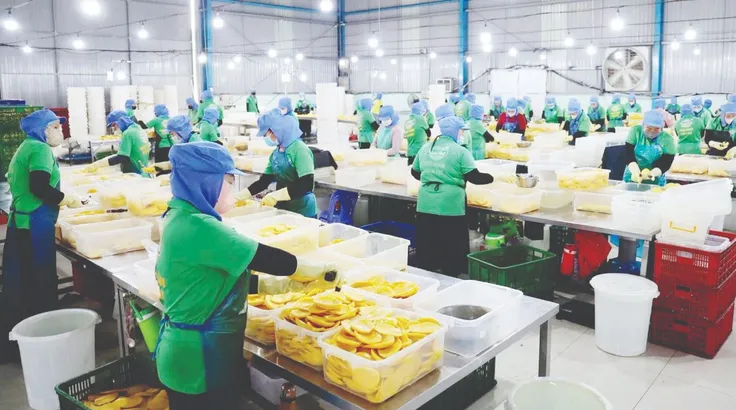 Cách doanh nghiệp ứng phó nguy cơ đứt gãy chuỗi cung ứng