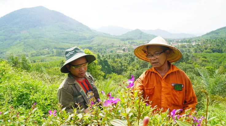 Lão nông 'lập dị' biến đồi hoang thành vườn rừng sinh thái