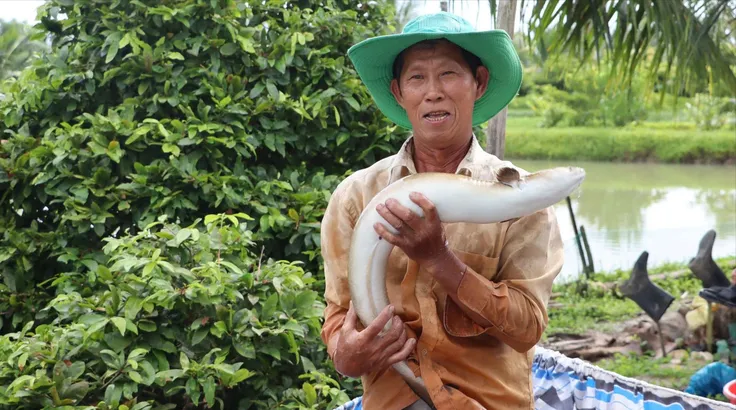 'Vua' cá chình miền Tây Nguyễn Hữu Ánh
