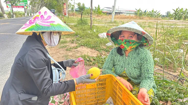 Đồng Tháp đưa 'chợ số' đến với nông dân