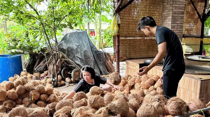Đồng Tháp: Phát triển vùng dừa VietGAP lấy dầu, mở hướng xuất khẩu bền vững
