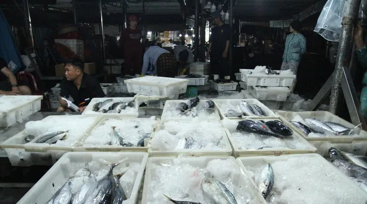 Những mẻ cá tươi rói được phân loại trước khi bán