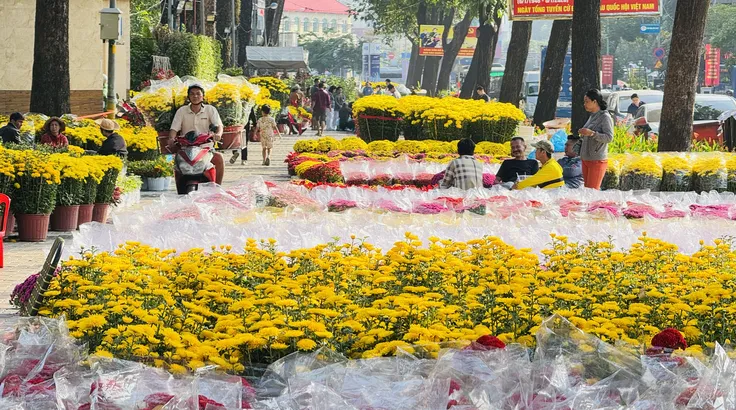 Các nhà vườn đưa hoa vào TPHCM phục vụ thị trường mua sắm tết tại công viên 23 tháng 9. Ảnh: ĐÌNH DƯ
