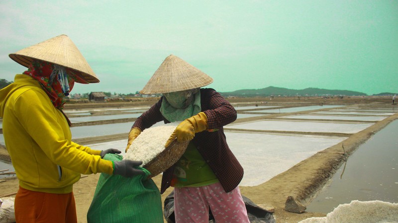 Giá muối tại Quảng Ngãi tăng cao 4.000 đồng/kg, diêm dân không còn muối để bán