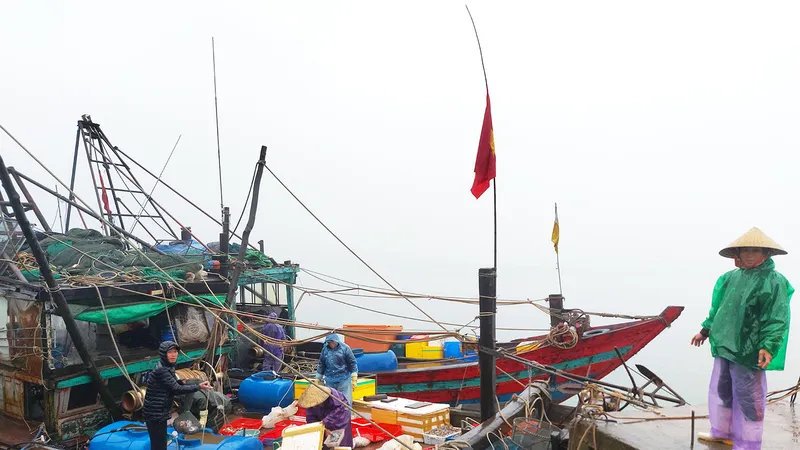 Trúng "lộc biển" cuối năm