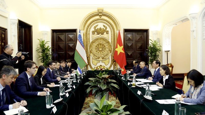 Vietnamese, Uzbek foreign ministers hold talks