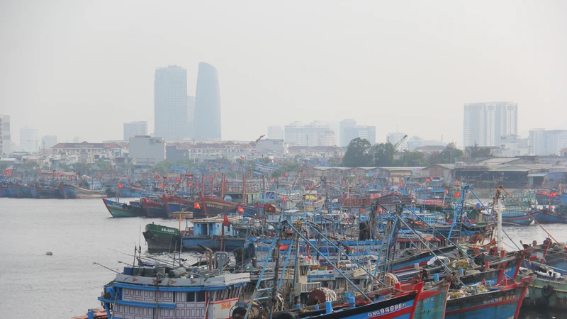 Âu thuyền và cảng cá Thọ Quang (quận Sơn Trà, TP Đà Nẵng) là cảng cá lớn nhất miền Trung. Ảnh: XUÂN QUỲNH