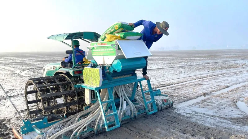 Phân bón Đầu Trâu Bio-Canxi có nhiều tính năng cải tạo đất.