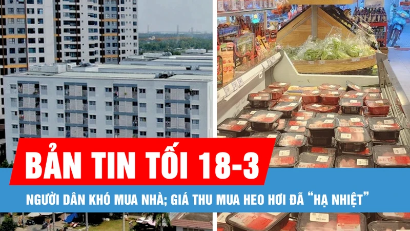 Bản tin tối 18-3: Giá tăng liên tục làm người dân khó mua nhà; Giá thu mua heo hơi đã “hạ nhiệt”