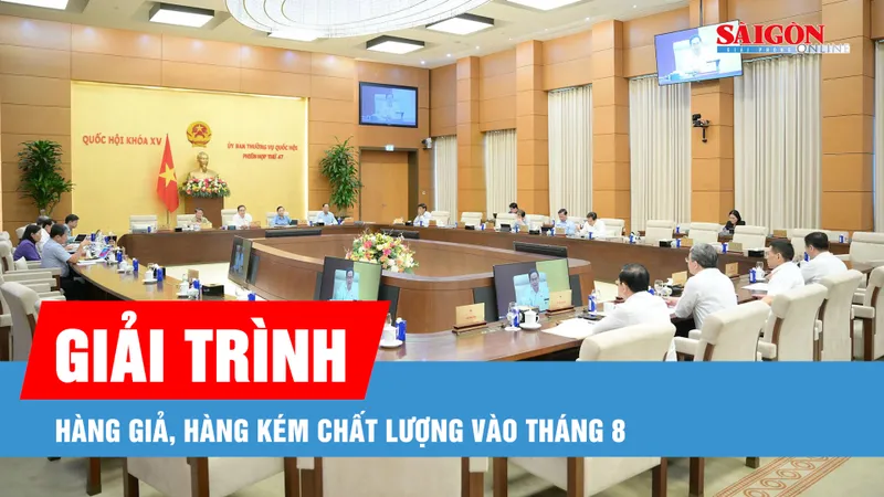 Podcast bản tin tối 10-7: Tháng 8 sẽ tổ chức phiên giải trình về thuốc giả, thực phẩm giả