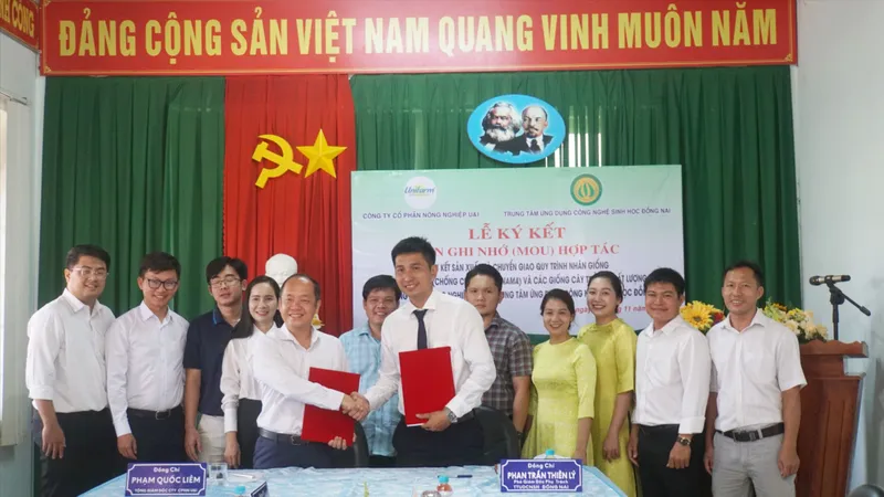 Đồng Nai: Hợp tác với Unifarm nhân giống chuối chống bệnh Panama