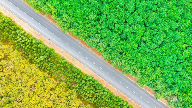 Ho Chi Minh Highway passing through HCMC gradually taking shape