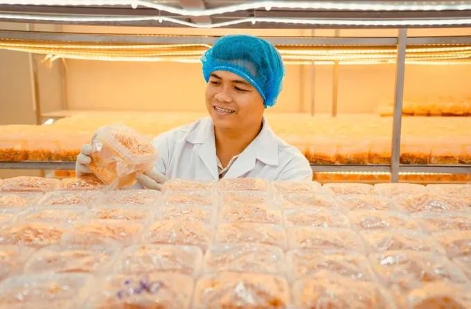 Youth-driven innovation fuels Ho Chi Minh City's development goals