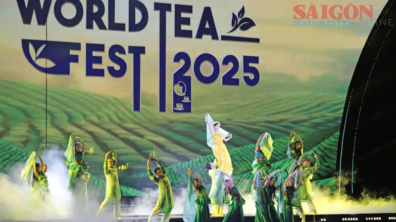 Tea carnival brings vibrant finale to international tea festival
