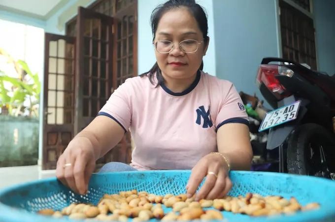 Coconut worm farming brings economic opportunities to mountainous areas of Hue 