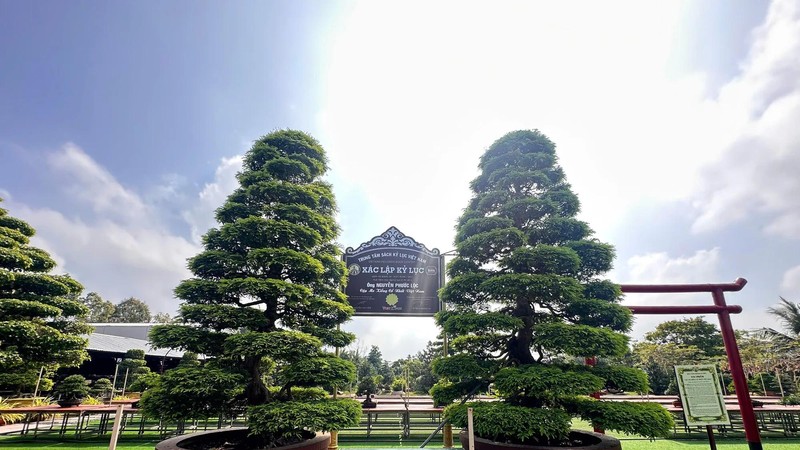 Sa Dec Bonsai Museum showcases Vietnam’s largest private bonsai collection