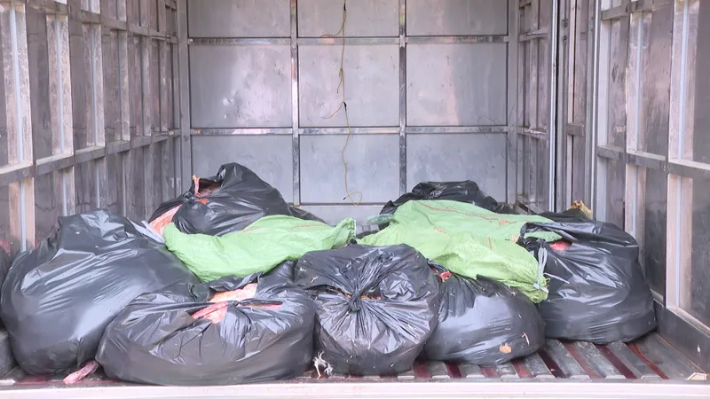 Phát hiện điểm tập kết hơn 2 tấn thịt vịt hôi thối tại phường Bến Cát