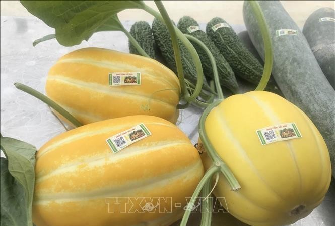 越南亟待建立国家统一的商品溯源体系。